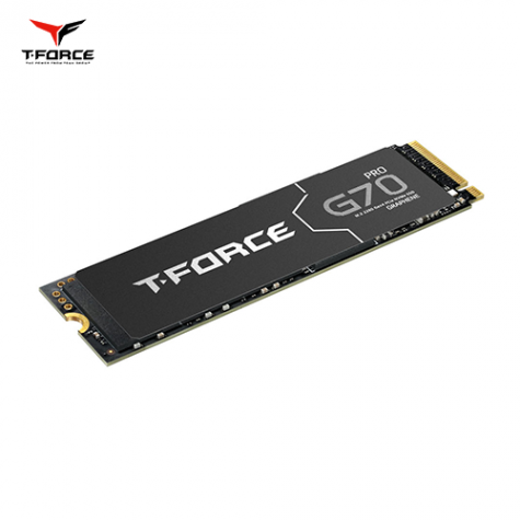 十銓 TEAM T-FORCE G70 PRO 1TB 十銓 T-Force G70PRO 2TB/讀:7400M/寫:6800M/DRAM/TLC/INNO主控/五年保:圖片 1