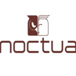 Noctua 貓頭鷹