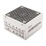振華 COMBAT FG 750W 白色 金牌/全模/ATX3.1/全日系/FDB風扇/十年保(SF-750C12FG WH)
